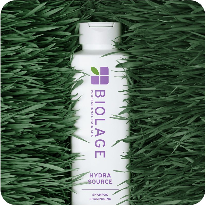 Hair Care and Hair Styling Products | Biolage Professional
